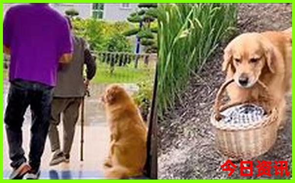 佛平旅游景点有哪些